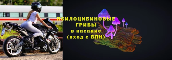 соль ск Краснослободск