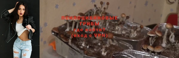 дурь Краснотурьинск